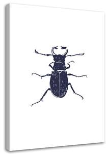 Obraz na plátne Čierny chrobák Rozmery: 40 x 60 cm