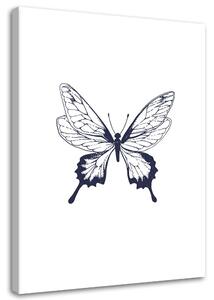 Obraz na plátne Nakreslený motýľ Rozmery: 40 x 60 cm