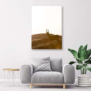 Obraz na plátne Mladý jeleň Rozmery: 40 x 60 cm