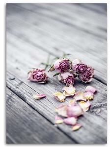 Obraz na plátne Sušené ruže Rozmery: 40 x 60 cm