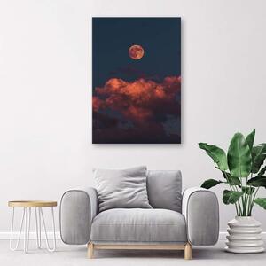Obraz na plátne Ružové mraky Rozmery: 40 x 60 cm
