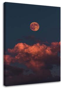 Obraz na plátne Ružové mraky Rozmery: 40 x 60 cm