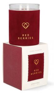 Sviečka ETERNAL Red berries 820828