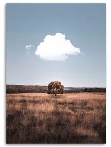 Obraz na plátne Osamelý strom a mraky Rozmery: 40 x 60 cm
