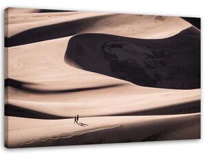 Obraz na plátne Púšť Rozmery: 60 x 40 cm