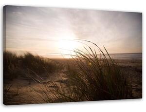 Obraz na plátne Pláž pri západe slnka Rozmery: 60 x 40 cm