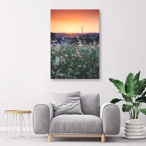 Obraz na plátne Lúka a západ slnka Rozmery: 40 x 60 cm