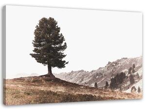 Obraz na plátne Strom na kopcoch Rozmery: 60 x 40 cm