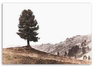 Obraz na plátne Strom na kopcoch Rozmery: 60 x 40 cm