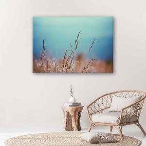 Obraz na plátne Čepele trávy Rozmery: 60 x 40 cm