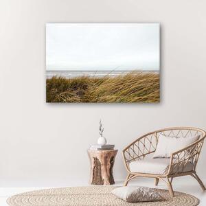 Obraz na plátne Tráva na pobreží mora Rozmery: 60 x 40 cm