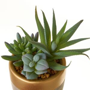 Umelé rastliny v súprave 4 ks (výška 17 cm) Cactus – Casa Selección