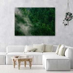 Obraz na plátne Hmla nad lesom Rozmery: 60 x 40 cm