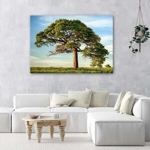 Obraz na plátne Veľký strom Rozmery: 60 x 40 cm