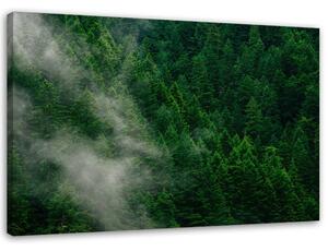 Obraz na plátne Hmla nad lesom Rozmery: 60 x 40 cm