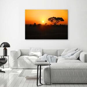Obraz na plátne Africký západ slnka Rozmery: 60 x 40 cm