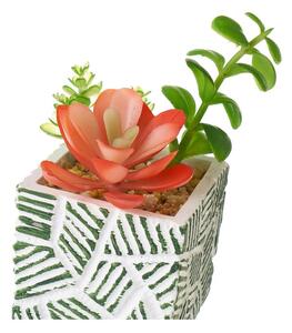 Umelé rastliny v súprave 3 ks (výška 12 cm) Cactus – Casa Selección