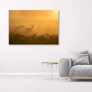 Obraz na plátne Stádo jeleňov na úsvite Rozmery: 60 x 40 cm