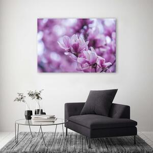 Obraz na plátne Kvety magnólie Rozmery: 60 x 40 cm