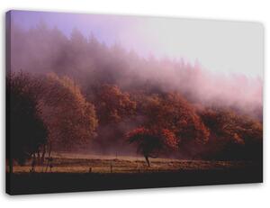 Obraz na plátne Stromy v hmle Rozmery: 60 x 40 cm