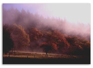 Obraz na plátne Stromy v hmle Rozmery: 60 x 40 cm