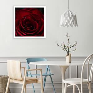Obraz na plátne Prívesok červenej ruže Rozmery: 30 x 30 cm