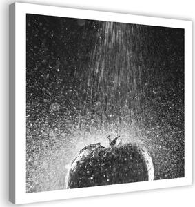 Obraz na plátne Paradajka v prúde vody Rozmery: 30 x 30 cm