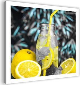 Obraz na plátne Nápoj a citróny Rozmery: 30 x 30 cm