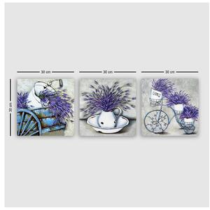 Obrazy v súprave 3 ks 30x30 cm Lavender – Wallity