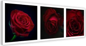Obraz na plátne Červené ruže Rozmery: 90 x 30 cm