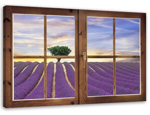 Obraz na plátne Okno - levanduľové pole Rozmery: 60 x 40 cm