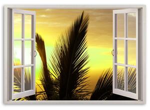Obraz na plátne Okno - palmy Rozmery: 60 x 40 cm