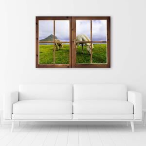 Obraz na plátne Okno - pohľad na kone Rozmery: 60 x 40 cm