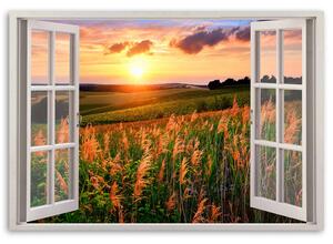 Obraz na plátne Okno - pohľad na pole kvetov Rozmery: 60 x 40 cm