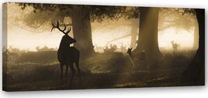 Obraz na plátne Jeleň v hmle Rozmery: 90 x 30 cm