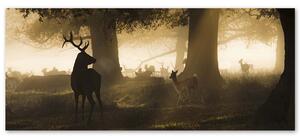 Obraz na plátne Jeleň v hmle Rozmery: 90 x 30 cm