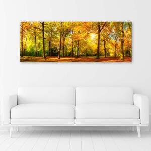 Obraz na plátne Zlatý les Rozmery: 90 x 30 cm