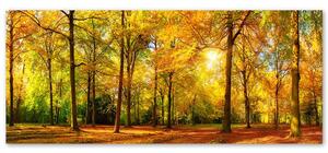 Obraz na plátne Zlatý les Rozmery: 90 x 30 cm