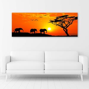 Obraz na plátne Panoráma africkej savany Rozmery: 90 x 30 cm
