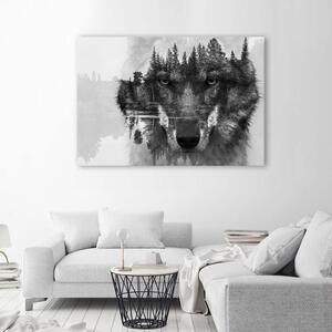 Obraz na plátne Čierny vlk na pozadí lesa a jazera abstraktné Rozmery: 60 x 40 cm
