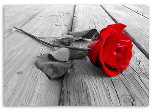 Obraz na plátne Červená ruža Rozmery: 60 x 40 cm