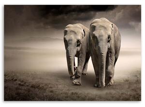 Obraz na plátne Slony v púšti Rozmery: 60 x 40 cm