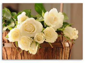 Gario Obraz Žlté a biele ruže Veľkosť: 100 x 70 cm, Prevedenie: Panelový obraz