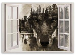 Obraz na plátne Vlk v okne Rozmery: 60 x 40 cm