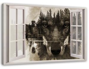 Obraz na plátne Vlk v okne Rozmery: 60 x 40 cm