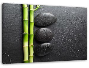 Obraz na plátne Bambus a zenové kamene na čiernom pozadí Rozmery: 60 x 40 cm