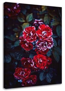Obraz na plátne Červené kvety na pozadí listov Rozmery: 40 x 60 cm