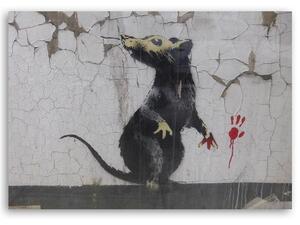 Obraz na plátne Banksy krysia labka Rozmery: 60 x 40 cm