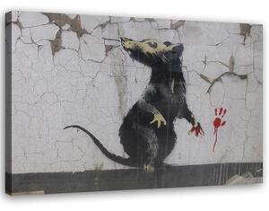Obraz na plátne Banksy krysia labka Rozmery: 60 x 40 cm