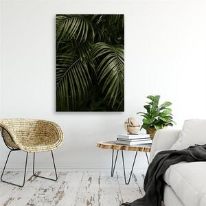 Obraz na plátne Zelené palmové listy Rozmery: 40 x 60 cm